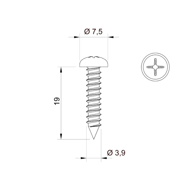 Vis en inox 3,9x19 mm&nbsp;&nbsp;